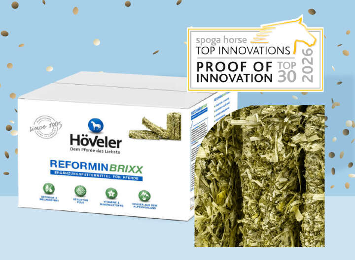 teaser reforminbrixx neues von hoeveler